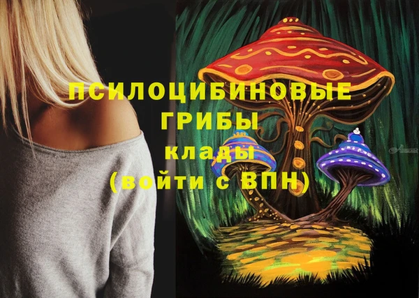 мет Абаза