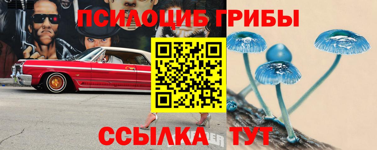 цены наркотик  Псилоцибиновые грибы GOLDEN TEACHER  Псилоцибиновые грибы мицелий  Вход с VPN  Лиски 